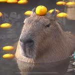 itssophielol profile picture