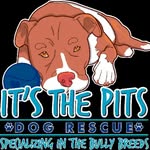 itsthepits profile picture