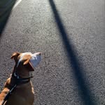 itsvoli_ profile picture