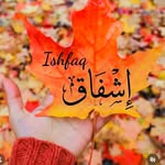 itx.ishfaq.me profile picture