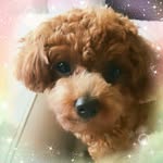 itxx._.ruby.poo profile picture