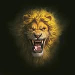 itz_chahal0054 profile picture
