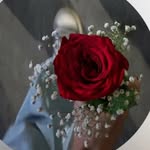 itz__kausar__ profile picture