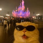 itznovacane profile picture