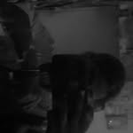 itz_pranjali_92 profile picture
