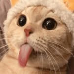 itzpritam5278 profile picture