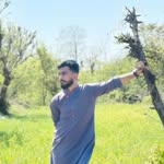 iumerrr profile picture