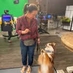 ivykitetheaussie profile picture