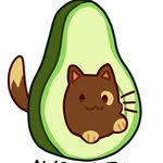 iz.avocato profile picture