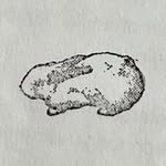 j_adorable_shop profile picture