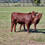 j_bar_farms profile picture