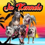 ja.kennels_ profile picture