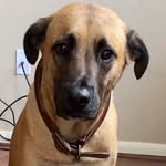 jackjackhtx profile picture