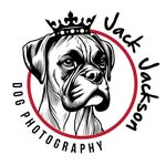 jackjacksondogphotography profile picture