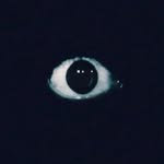 jackrabold profile picture