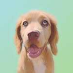 jacksonsprocker profile picture