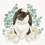 jackthebunnyrabbit profile picture