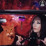 jack_the_space_cat profile picture