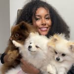 jacobina.vet profile picture
