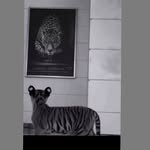 jad.jad.399763 profile picture