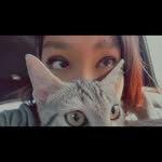 jadediaz01_ profile picture