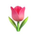 jaden__cho profile picture