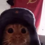 jaedynmcs profile picture