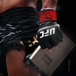 jafelfilho_ufc profile picture