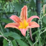 jagga_singh00 profile picture