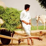 jagpreet3127 profile picture