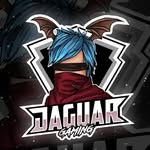 jaguar_07gaming profile picture