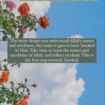 jahaanara_servant_of_allah profile picture