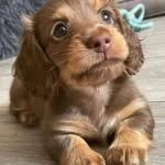 jaime_gar_cas profile picture