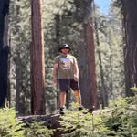 jaimegonzalez_82 profile picture