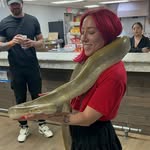 jaimeleeinthewild profile picture