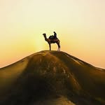 jaisalmer_desert_city profile picture