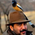 jaisalsujansingh profile picture