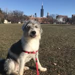 jakes_explorations profile picture