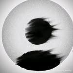 jaliljalil4317 profile picture