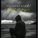 jalilkhan7979 profile picture