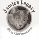 jamies.legacy profile picture