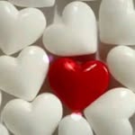 jams8169 profile picture