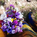 janah.kurdi profile picture