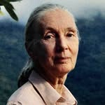 janegoodallau profile picture
