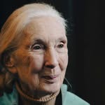 janegoodall_france profile picture