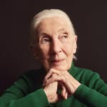 janegoodallinst profile picture
