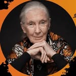janegoodalluk profile picture