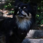 janet.williams.52438 profile picture