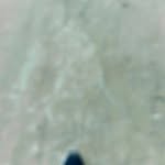 janu_1236126 profile picture