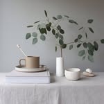 japandi_design profile picture
